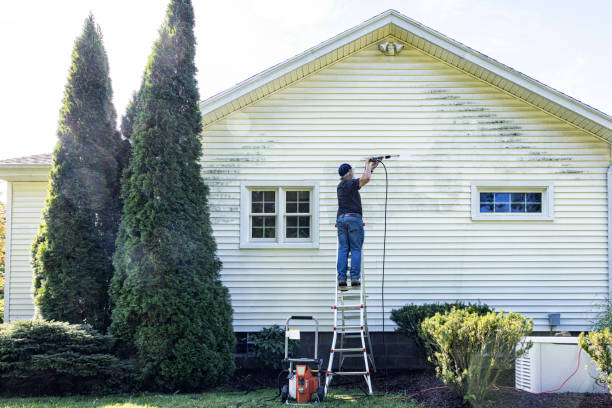 Trusted Buhl, ID Pressure washing Experts